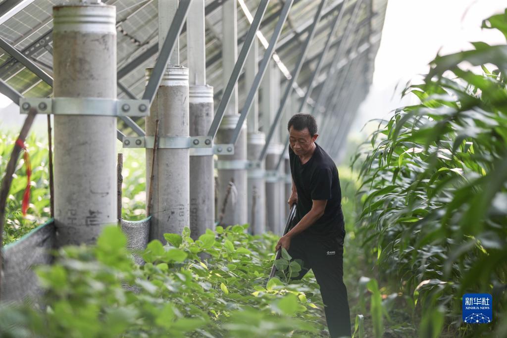 永利集团官网
